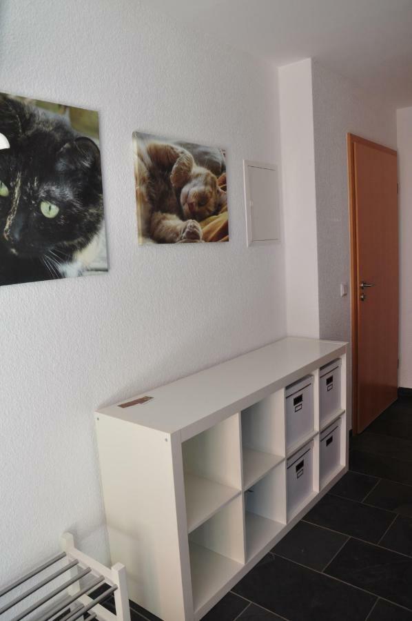 Ferienwohnung Roter Kater Am Nationalpark Eifel Bergbuir 외부 사진
