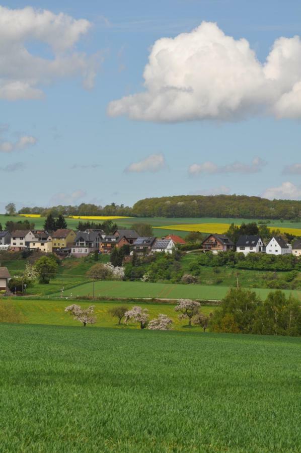 Ferienwohnung Roter Kater Am Nationalpark Eifel Bergbuir 외부 사진